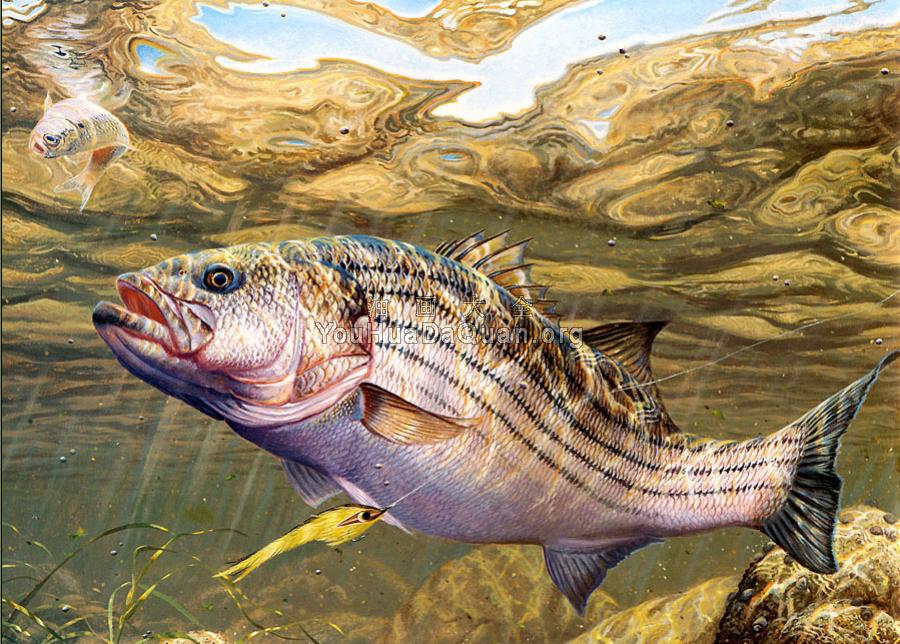 -Unknown - 马克·苏祖尼奥